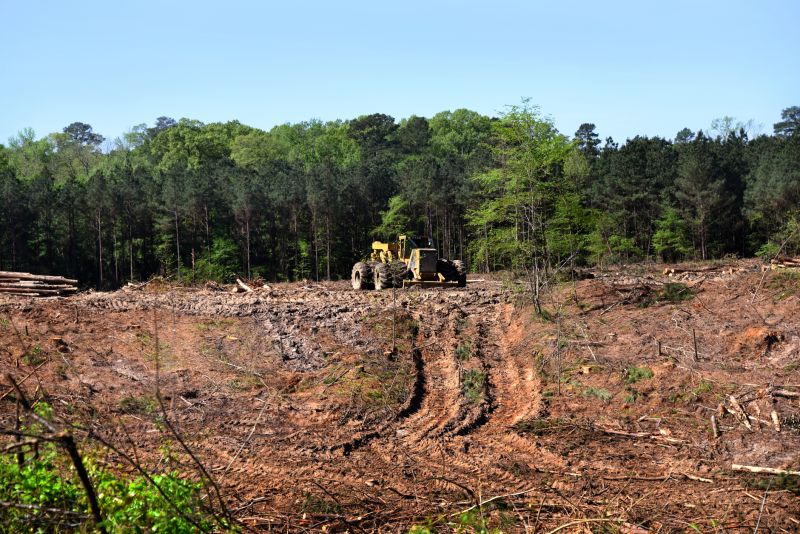 Easement Land Clearing in Cumming, GA