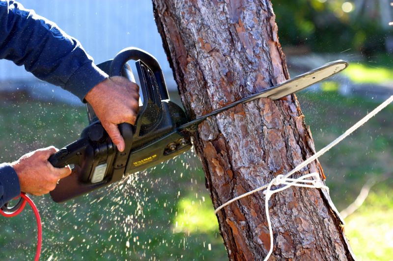 Fallen Tree Removal in Pottstown, PA