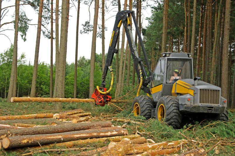 Pine Tree Clearing in Cumming, GA