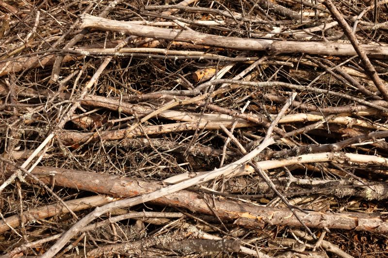 Reduce Fire Hazards With Professional Brush Clearing Service!